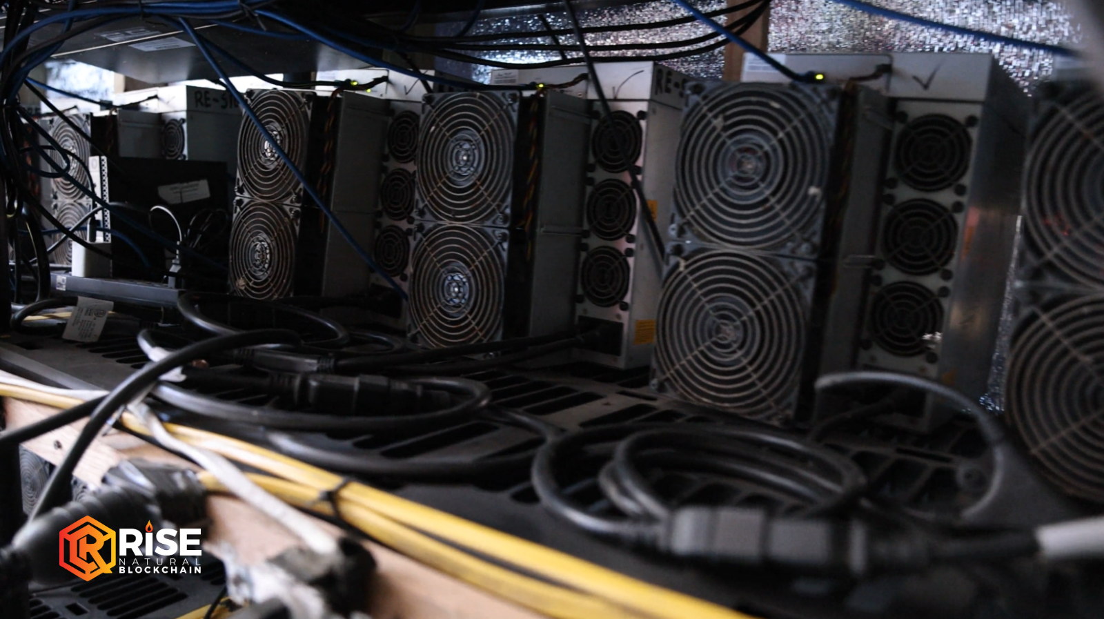 Racks of Antminer units running inside a Rise Natural Blockchain container